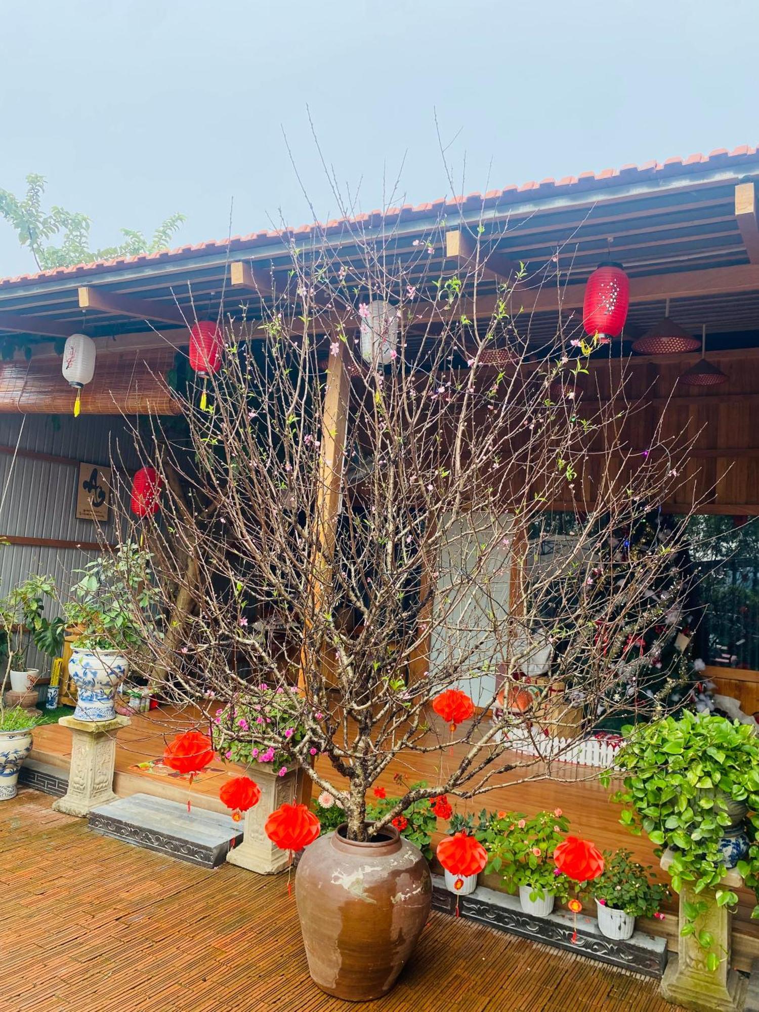 נין בין An Homestay Tam Coc מראה חיצוני תמונה